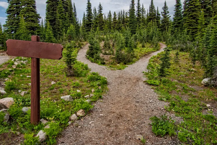 Crossroad in the woods to hint Rails Router