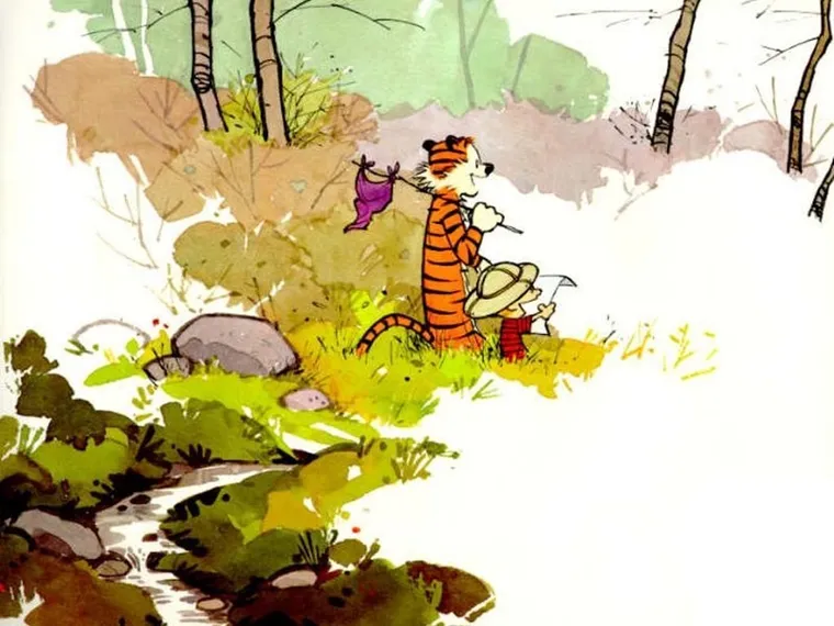 Let's Go on a Safari - Calvin and Hobbs (Credit: Bill Watterson)